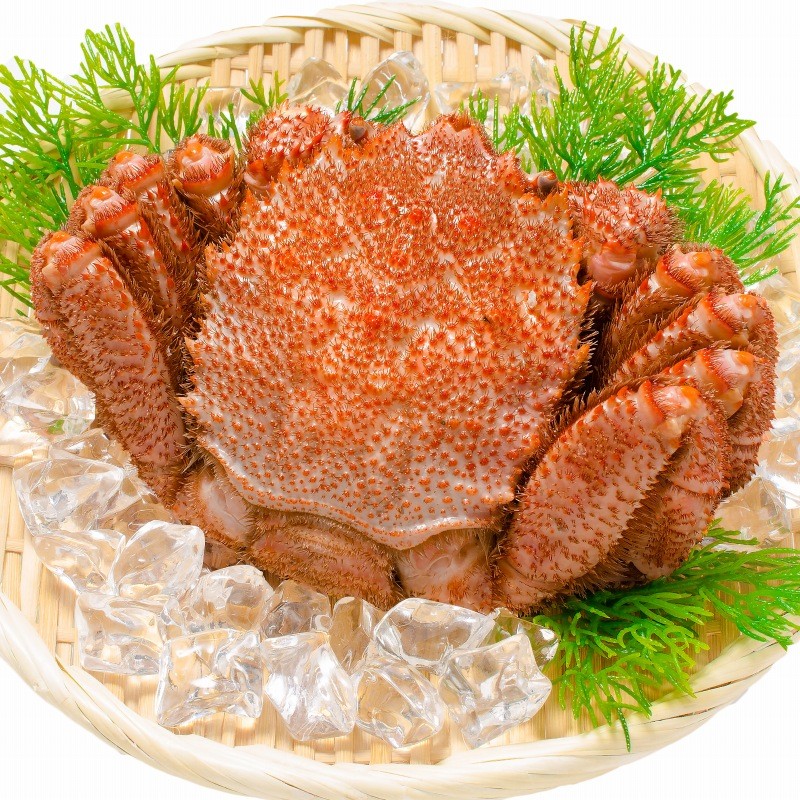 毛がに1尾メイン