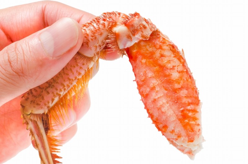 毛がに足手持ち