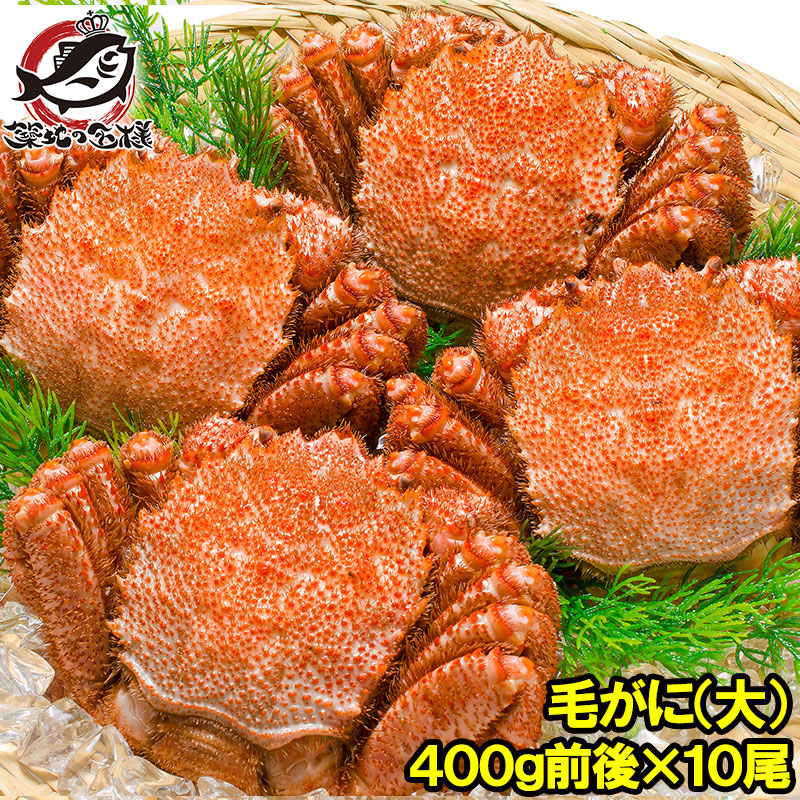 浜茹で毛蟹と活茹でタラバ蟹set 送料無料 毛ガニ 毛がに 毛蟹 浜茹で 毛ガニ姿 平均 400g ×3尾の