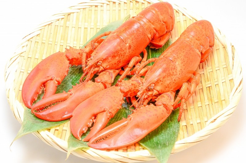 伊勢海老&ロブスターセット