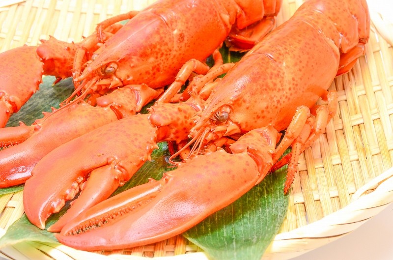 伊勢海老&ロブスターセット