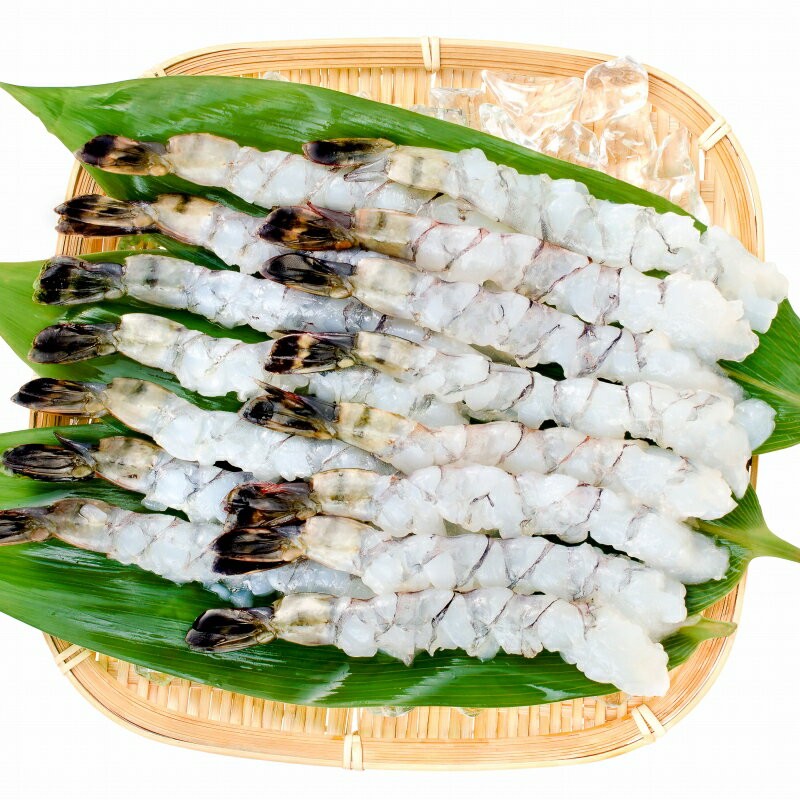 伸ばしエビ 08-12 サイズ比較