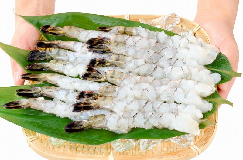 伸ばしエビ 08-12 サイズ比較