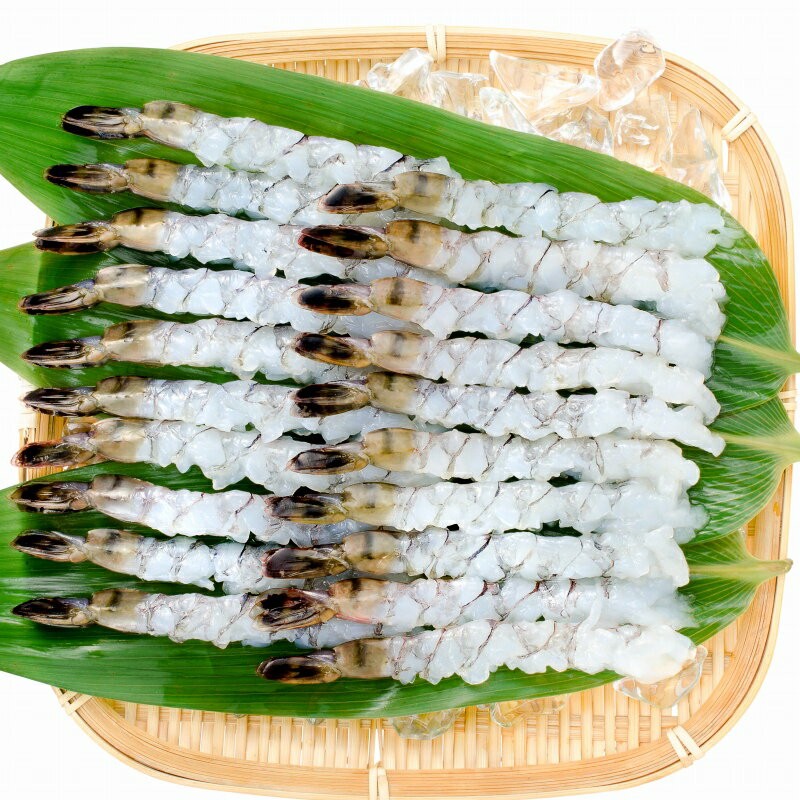伸ばしエビ 08-12 サイズ比較