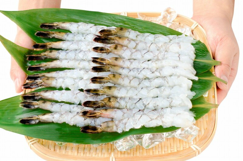 伸ばしエビ 08-12 サイズ比較