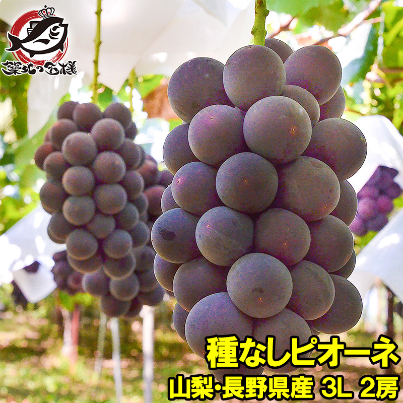 ピオーネ 山梨県 長野県産 種なし 1箱1.3kg前後 650g前後×2房 3L 最