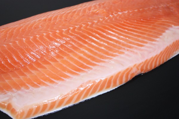 トロサーモン栅1