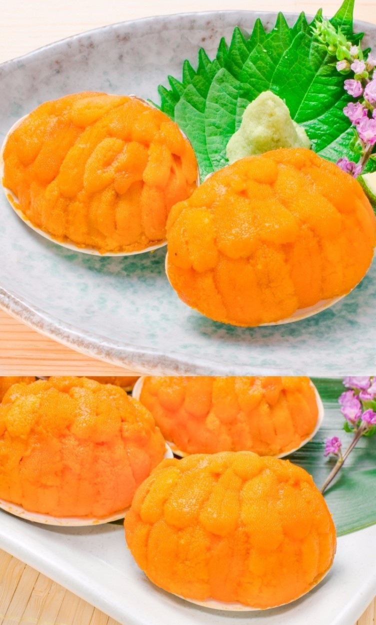 うに貝盛り