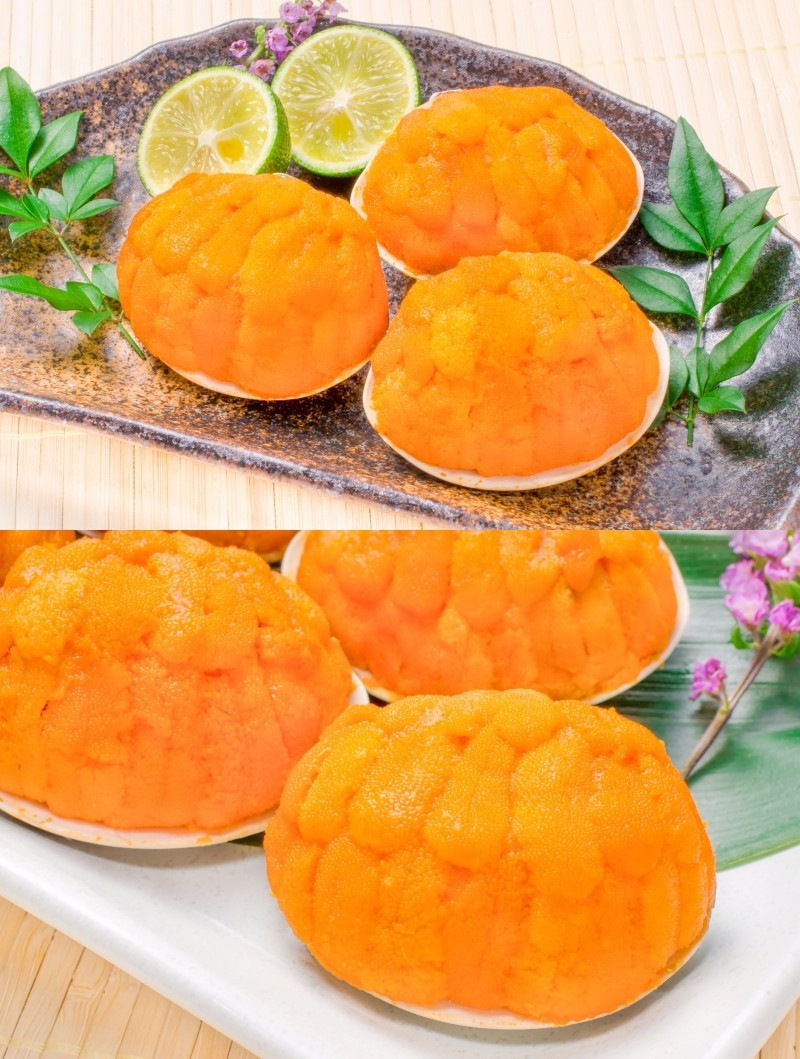 うに貝盛り