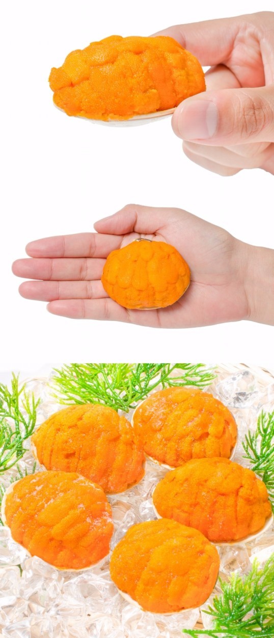うに貝盛り