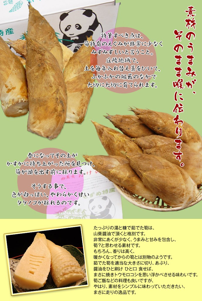 京都産物集女たけのこ