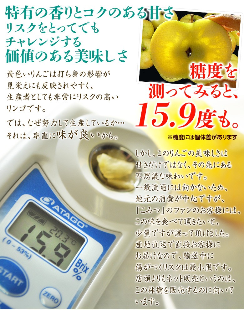 青森県産 ＂ こうこう ＂りんご 加工用 20kg 産地直送 リンゴ 林檎 151114-koko-03.jpg