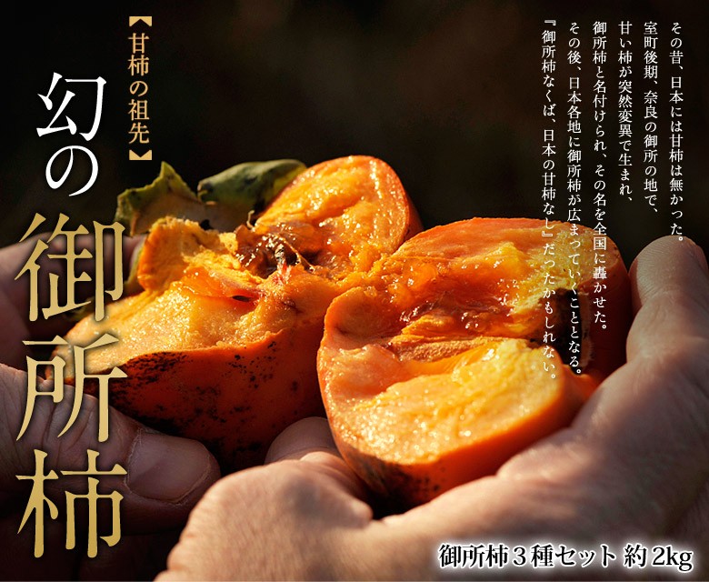 送料無料 奈良産 御所柿３種セット 本御所 藤原御所 米田御所 天神御所 花御所のうち３種類をお送りします 約2キロ Frt 4z 豊洲からの直送便 ヤフー店 通販 Yahoo ショッピング