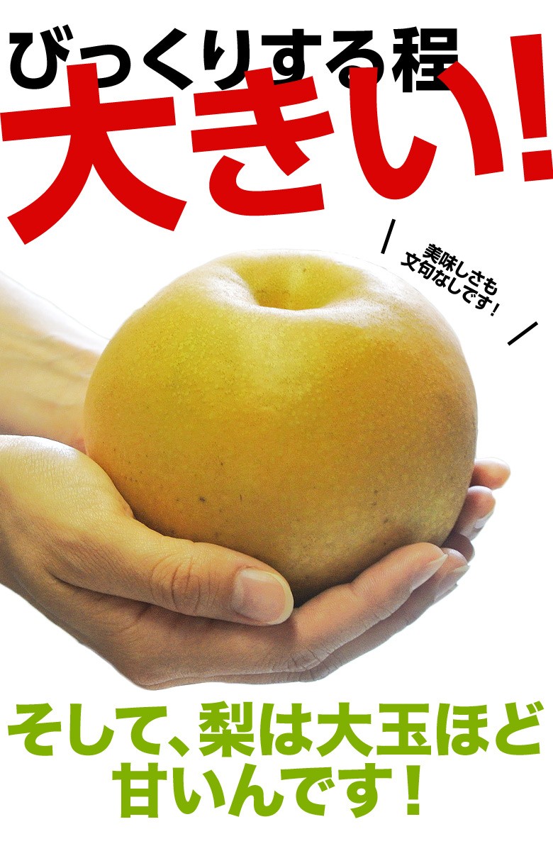 にっこり梨 栃木県産 JAなすの 約5kg 大玉 5〜10玉 優〜秀品 ※常温