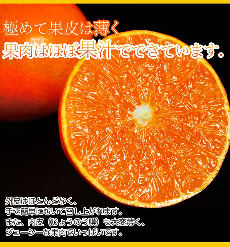 小玉『紅香（べにかおり）品種：天草』長崎県産柑橘 約3kg（15〜21玉