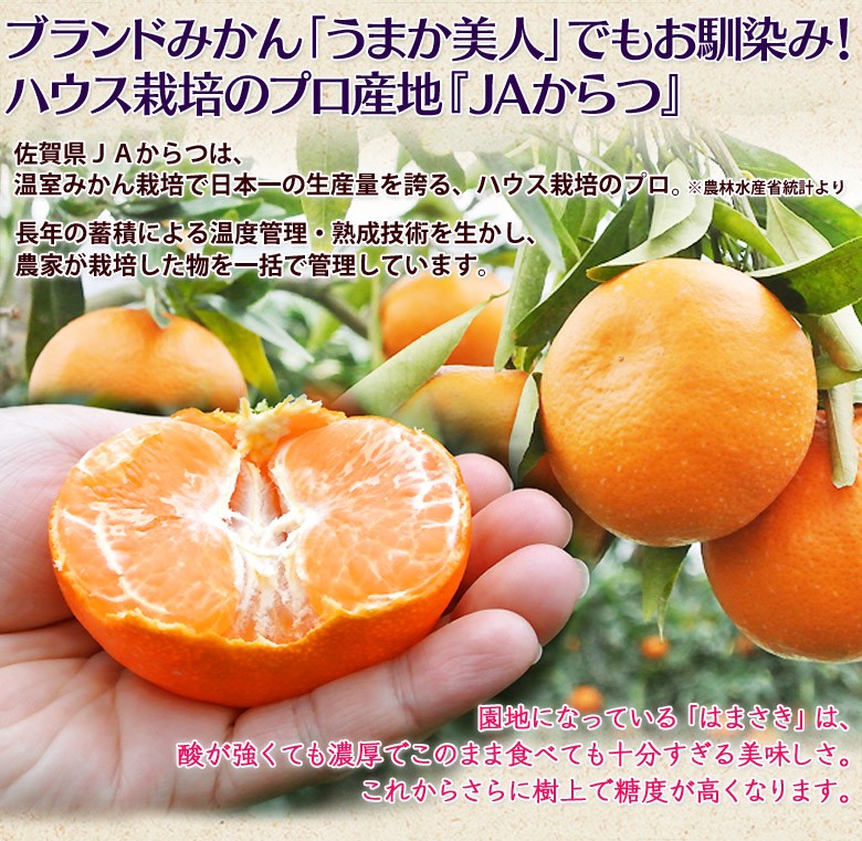 Jaからつ 訳あり はまさき 佐賀県産 柑橘 キズ スレあり サイズ不揃い 約2 5kg 簡易包装 常温 送料無料 3b いただきマルシェ 通販 Yahoo ショッピング