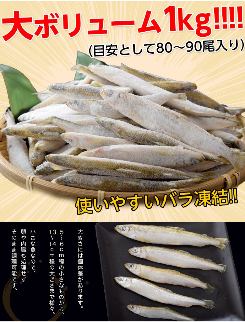 大漁のため大特価 北海道産 ちか 千魚 1kg 目安 80 90尾 冷凍 Sea 1z 豊洲からの直送便 ヤフー店 通販 Yahoo ショッピング