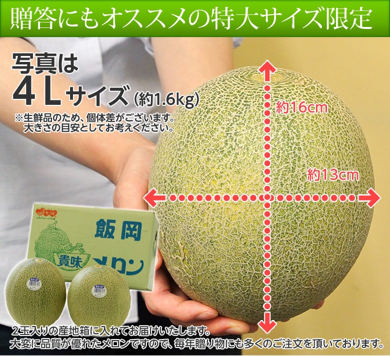 貴味メロン（青肉） 千葉県飯岡産 4〜6L×2玉 合計約3.6kg 秀品