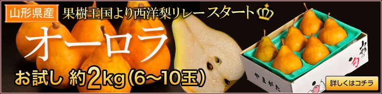 洋梨 洋なし 洋ナシ 梨 なし ナシ オーロラ 山形県産 約2kg 2箱 1箱 6 10玉入 送料無料 3a 豊洲市場ドットコムヤフー店 通販 Yahoo ショッピング