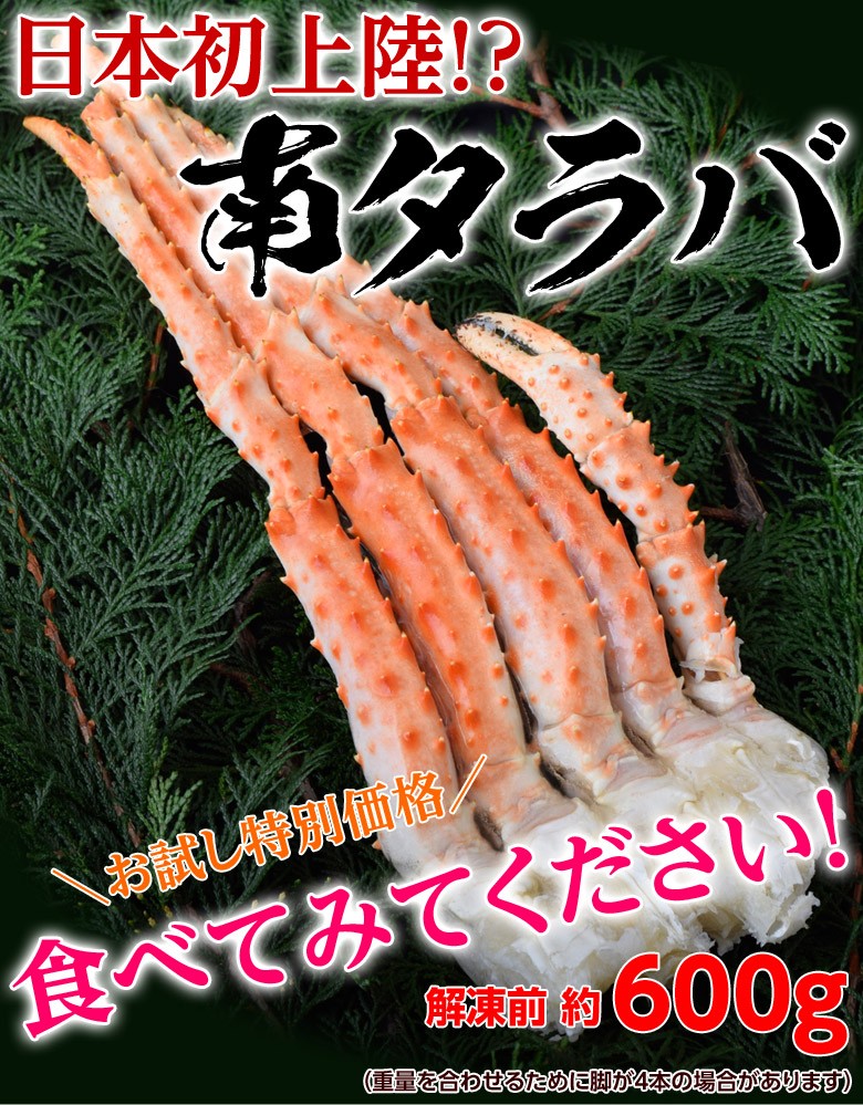 お試し販売 味の違いをレビューください 南タラバガニ 約600g 冷凍 Sea 1q 豊洲からの直送便 ヤフー店 通販 Yahoo ショッピング