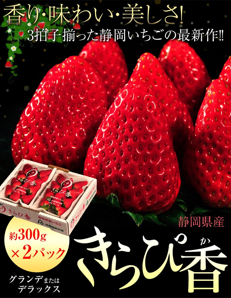 いちご ギフト 静岡県産 きらぴ香 約300g×2パック（等級：グランデ又はデラックス）イチゴ 苺 フルーツ 果物 贈り物 プレゼント お礼 お返し  お祝い 冷蔵 :203a05792:豊洲からの直送便 ヤフー店 - 通販 - Yahoo!ショッピング