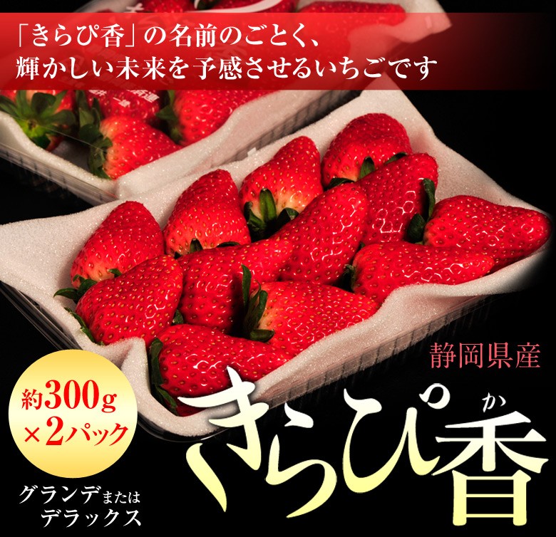 いちご ギフト 静岡県産 きらぴ香 約300g×2パック（等級：グランデ又はデラックス）イチゴ 苺 フルーツ 果物 贈り物 プレゼント お礼 お返し  お祝い 冷蔵 :203a05792:豊洲からの直送便 ヤフー店 - 通販 - Yahoo!ショッピング