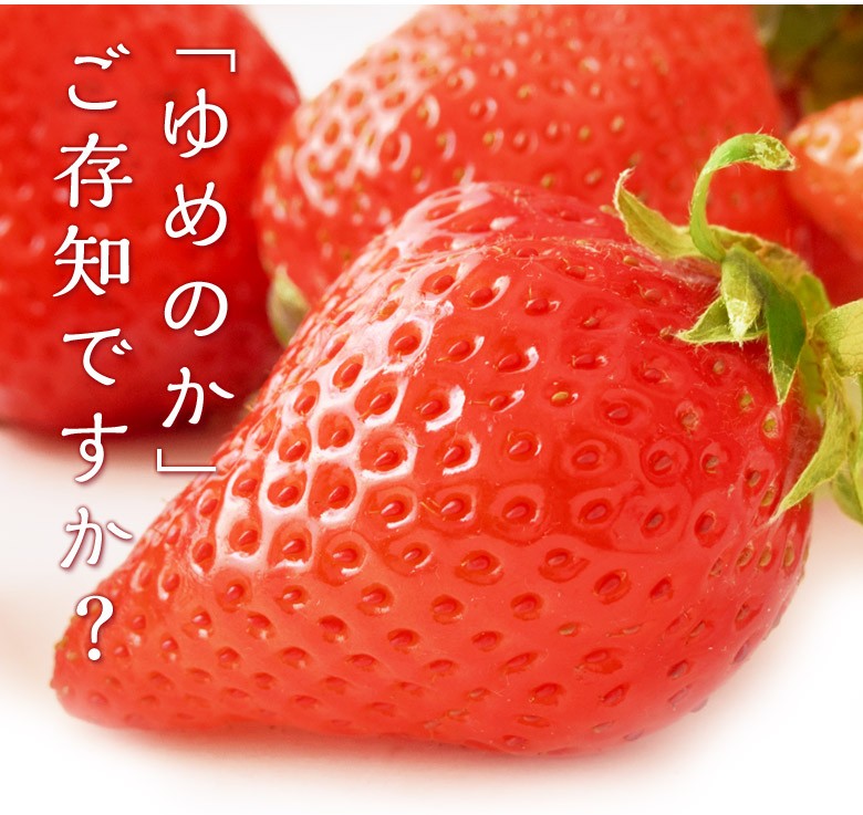 いちご イチゴ 苺 長崎県産 「ゆめのか」 1パック 約270g(7〜14粒)×2パック ※冷蔵 送料無料 : 203a04286 :  豊洲からの直送便 ヤフー店 - 通販 - Yahoo!ショッピング