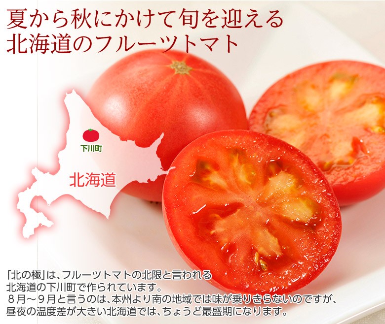北の極 フルーツトマト』 北海道・下川町産 約700g(6〜12玉