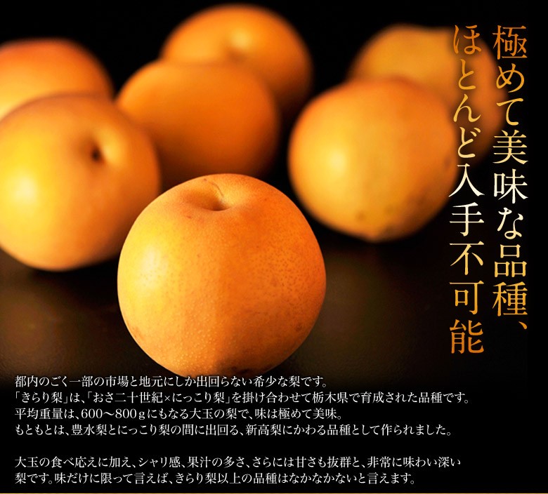 梨 なし 栃木県産 きらり梨 約5kg (6〜12玉) 送料無料 : 豊洲からの
