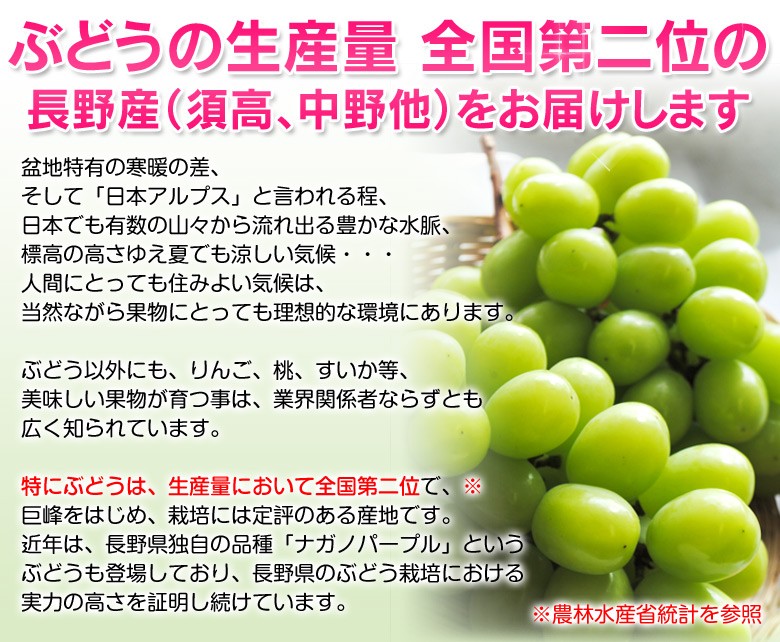 シャインマスカット』長野県産 2房 計約800g ※常温 送料無料