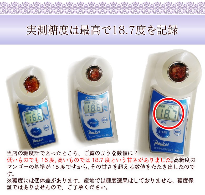いちじく イチジク 黒いちじく 黒イチジク 佐賀県産