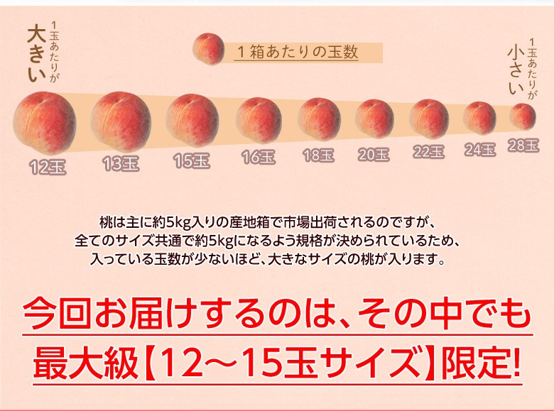 桃　16玉入り　大玉サイズ 桃 16玉入り 大玉サイズ （2025年度産予約スタート！！【高