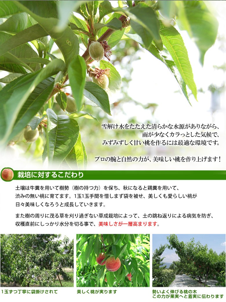 やまもも大玉　専用ページ 握りやすい親切設計。野菜のゆで上げや揚げ物の油切りに