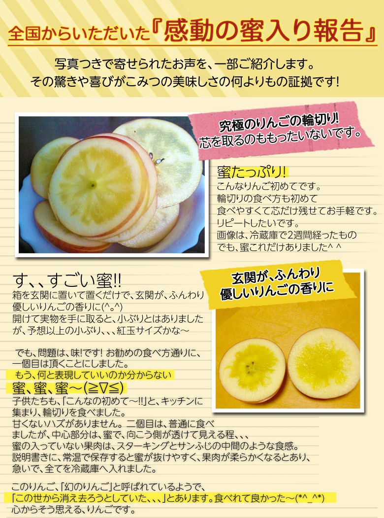 特選品 蜜入りりんご『こみつ』青森県石川地区産 計約4kg(1箱：2kg 6