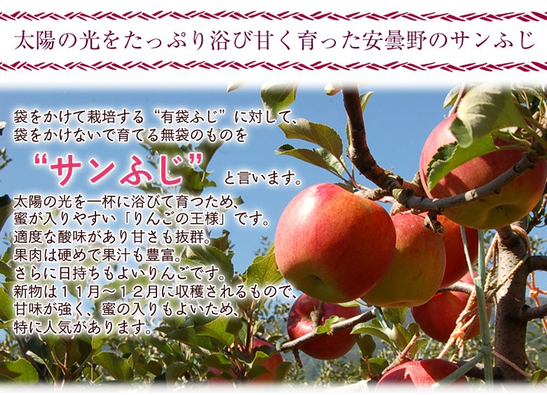 長野県 安曇野産 りんご『サンふじ』 約1.7kg風袋込（5〜7玉） 産地箱入 ※常温 送料無料 :204b09424:豊洲からの直送便 ヤフー店 -  通販 - Yahoo!ショッピング