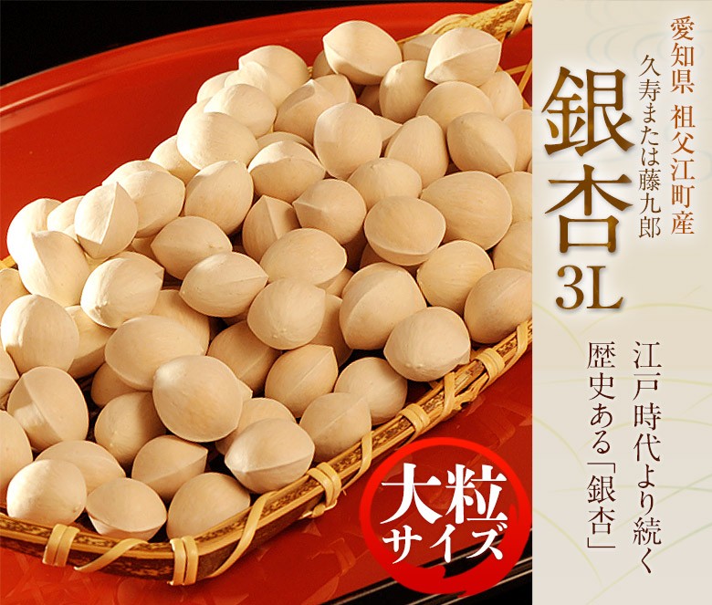 銀杏『久寿』または『藤九郎』 愛知・祖父江産 大粒3L 約500g ※冷蔵 ○ :201d00879:豊洲からの直送便 ヤフー店 - 通販 -  Yahoo!ショッピング