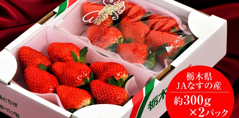 いちご 栃木県産 「スカイベリー」 1箱 約300g(5〜15粒)×2パック