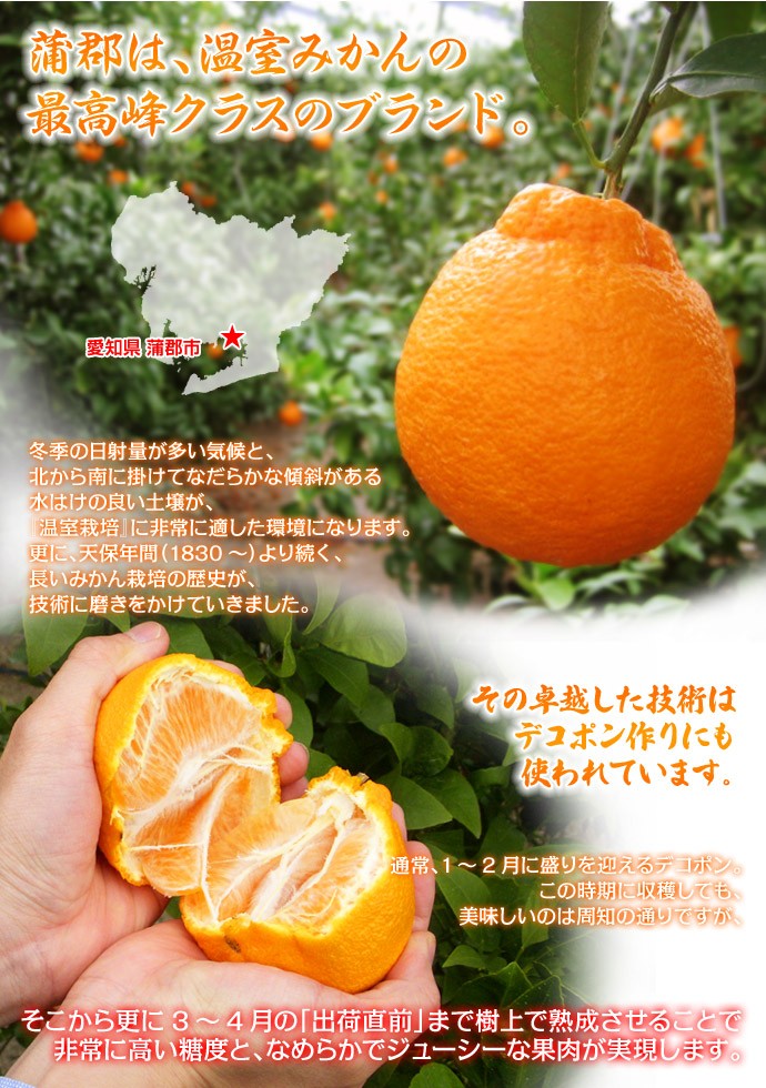 愛媛　農薬不使用　完熟デコポン　今年残り6箱 愛媛 農薬不使用 デコポン6キロ&レモン3キロ送料 無料
