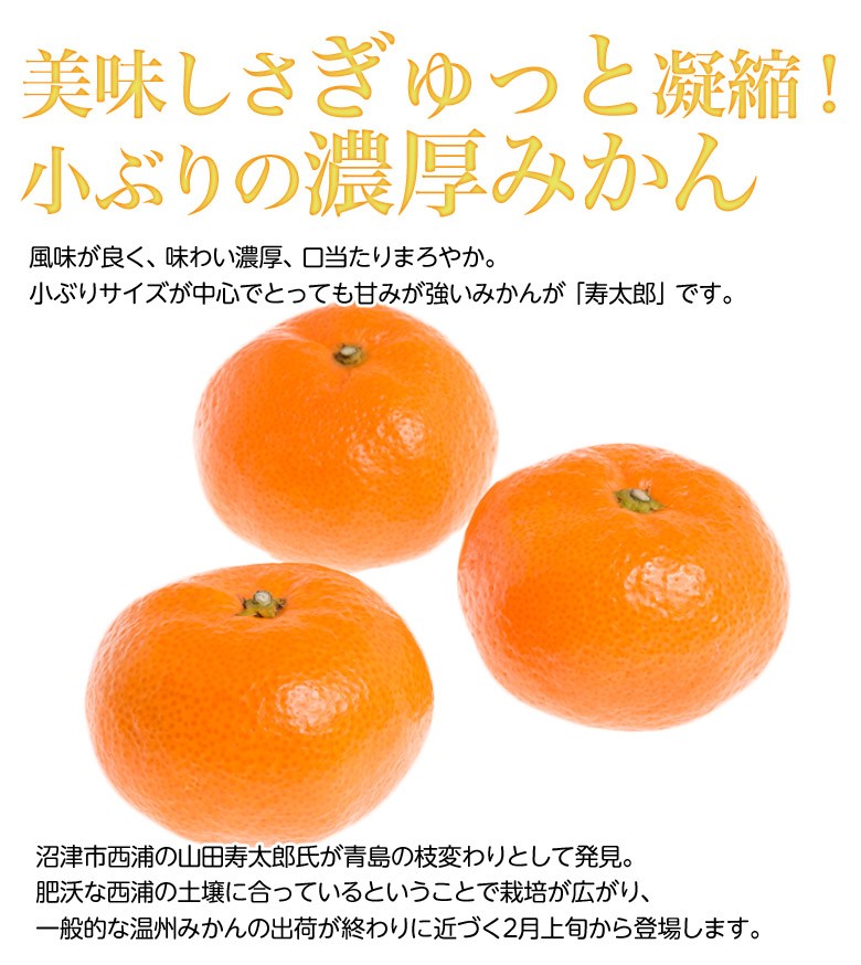 寿太郎みかん 静岡県産 超小玉2Sサイズ 約2.5kg 産地箱 ※常温 送料無料