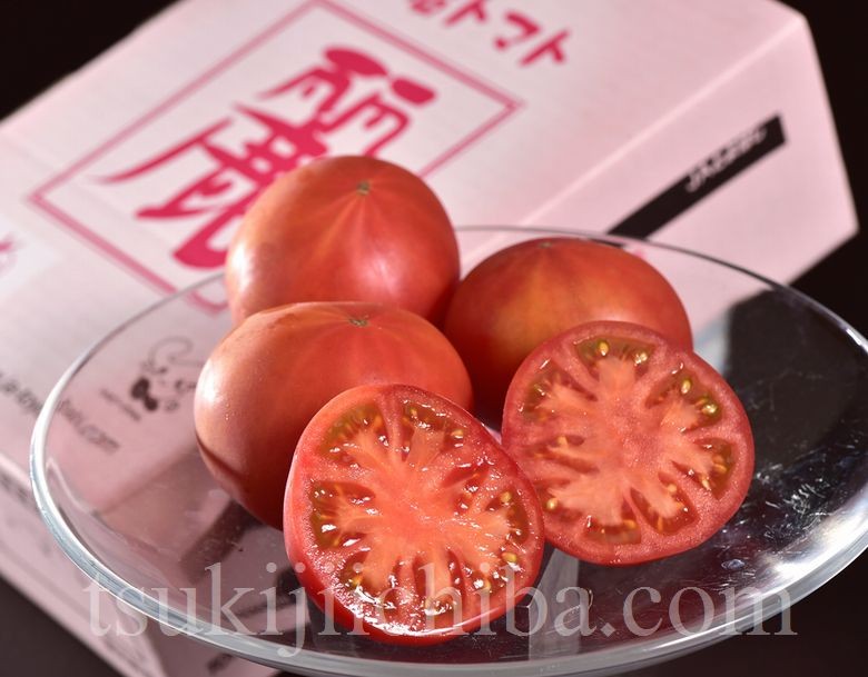 トマト とまと 野菜 麗トマト 愛知・豊橋産 約900g (7〜23玉