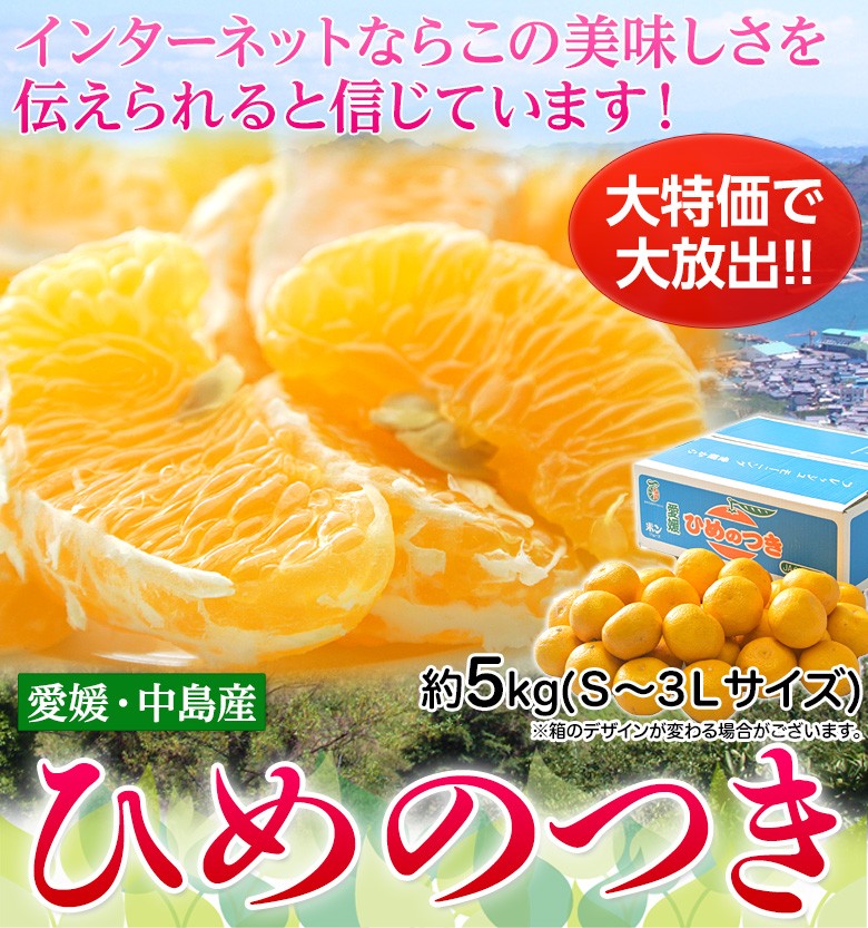 愛媛県・中島町産 「ひめのつき」 (傷ありも含む) S〜3L 約5kg 常温 送料無料