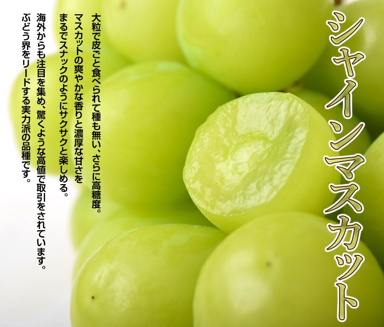 シャインマスカット&ナガノパープル』 山梨県・長野県産 各1房(計2房 約800g)簡易箱 ※冷蔵 送料無料 葡萄 ぶどう :203a07901:豊洲からの直送便 ヤフー店 通販 津山ぶどう部会『ニューピオーネ(品種:ピオーネ)』岡山県産ぶどう 約1.6kg 4房 簡易梱包 ※冷蔵 送料無料