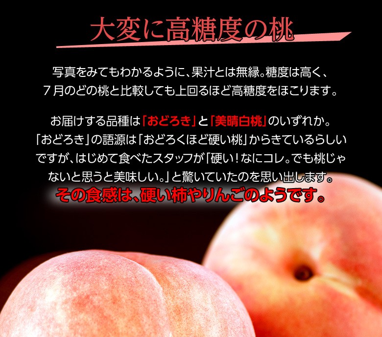 桃 もも モモ 山形県産 かたい桃 約2kg 5 10玉 おどろき又は美晴白桃 送料無料 3a 豊洲からの直送便 ヤフー店 通販 Yahoo ショッピング
