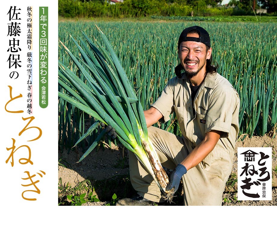 ねぎ 葱 ネギ とろねぎ 佐藤忠保さんの極太霜降りねぎ 約2kg （10〜12本）×2箱 福島県会津若松産 常温 産地直送 送料無料  :203z09573:豊洲からの直送便 ヤフー店 - 通販 - Yahoo!ショッピング