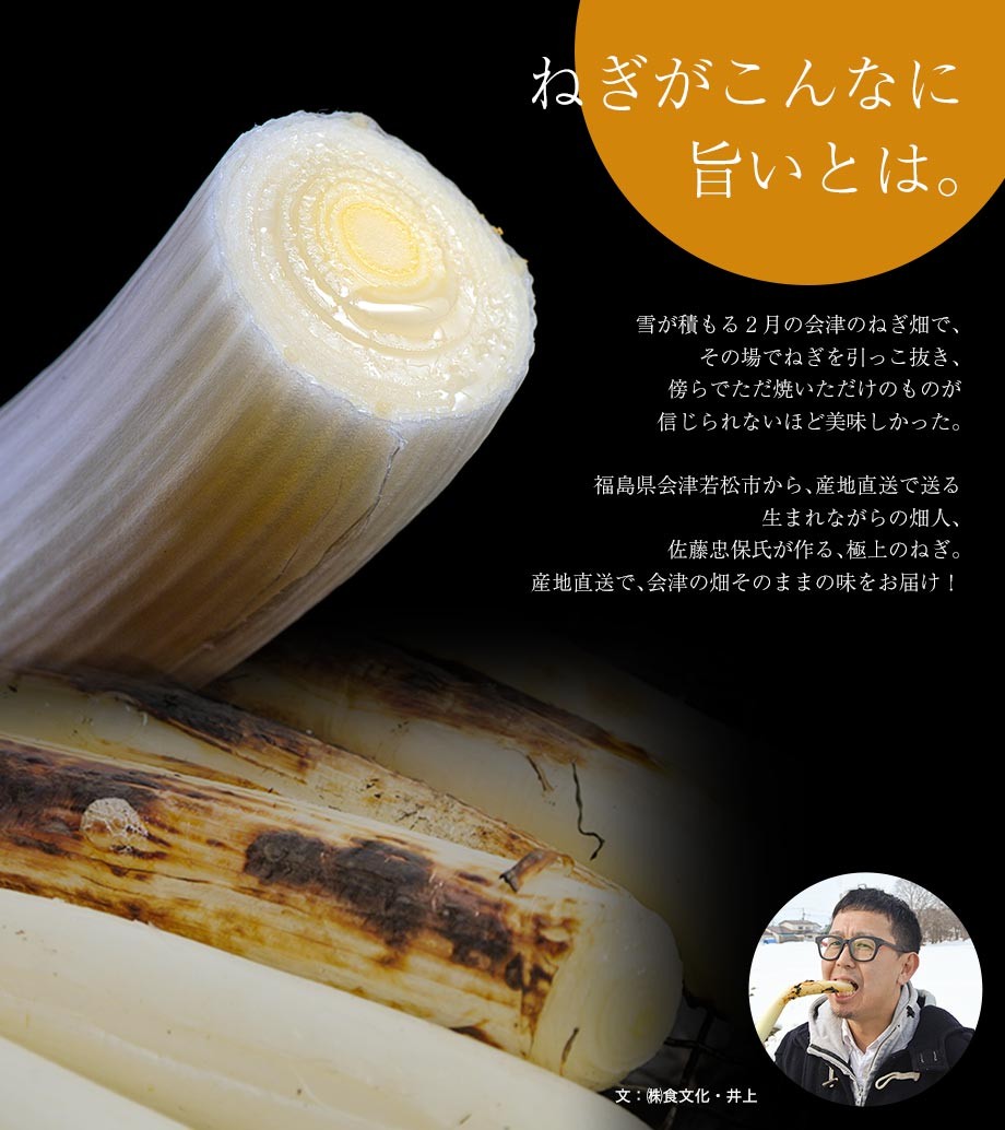 ねぎ 葱 ネギ とろねぎ 佐藤忠保さんの極太霜降りねぎ 約2kg （10〜12本）×2箱 福島県会津若松産 常温 産地直送 送料無料  :203z09573:豊洲からの直送便 ヤフー店 - 通販 - Yahoo!ショッピング