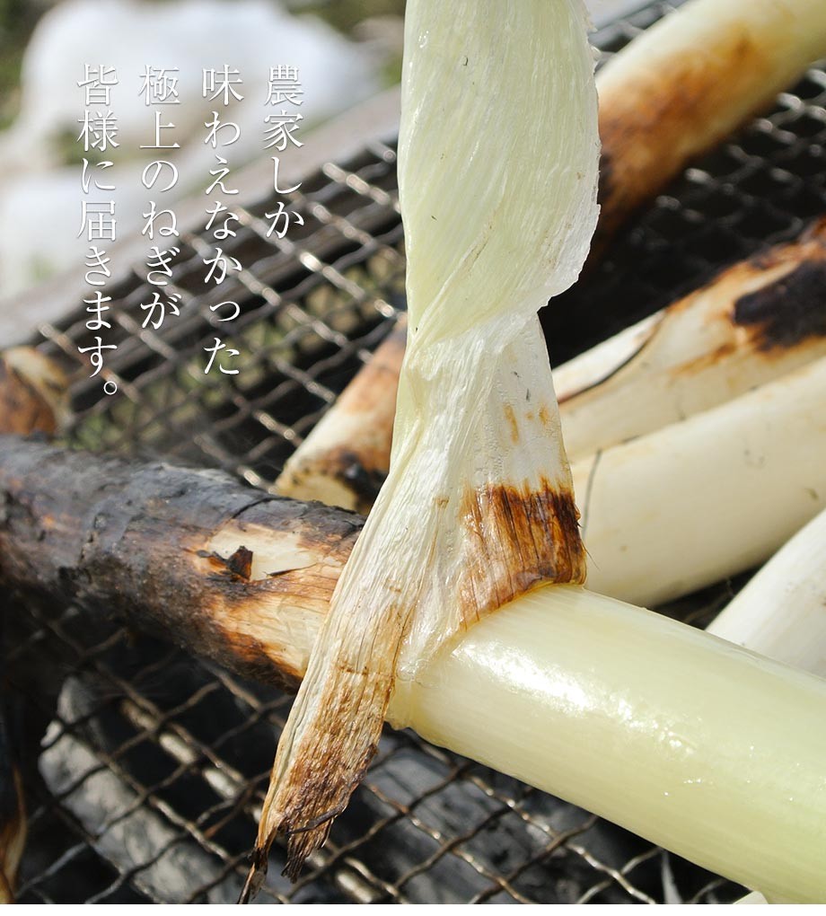 ねぎ 葱 ネギ とろねぎ 佐藤忠保さんの極太霜降りねぎ 約2kg （10〜12本）×2箱 福島県会津若松産 常温 産地直送 送料無料  :203z09573:豊洲からの直送便 ヤフー店 - 通販 - Yahoo!ショッピング