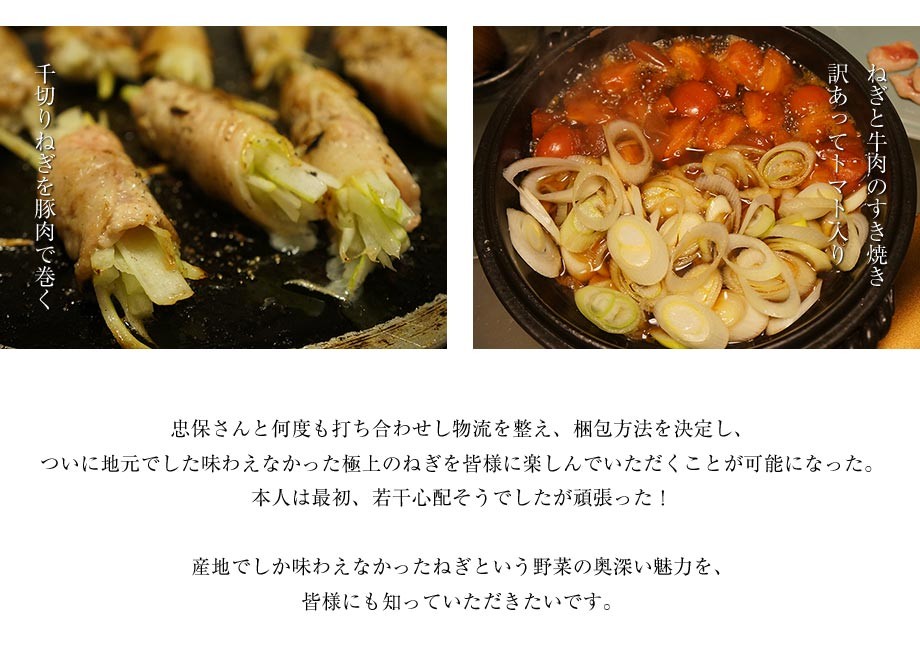 ねぎ 葱 ネギ とろねぎ 佐藤忠保さんの極太霜降りねぎ 約2kg （10〜12本）×2箱 福島県会津若松産 常温 産地直送 送料無料  :203z09573:豊洲からの直送便 ヤフー店 - 通販 - Yahoo!ショッピング