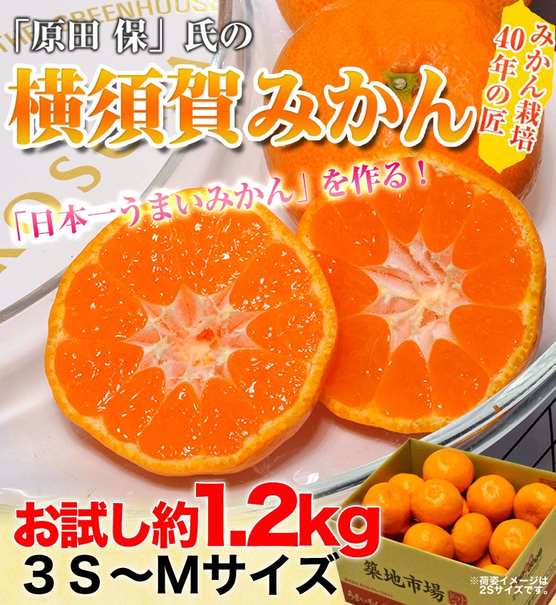 みかん ミカン 神奈川県産 原田保氏の 横須賀みかん 約1.2キロ 3S〜Mサイズ 送料無料 :203c03418:豊洲からの直送便 ヤフー店 -  通販 - Yahoo!ショッピング