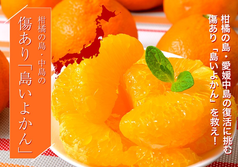 0以上 柑橘類のいよかんの９割が生産されている都道府県は ベストコレクション漫画 アニメ