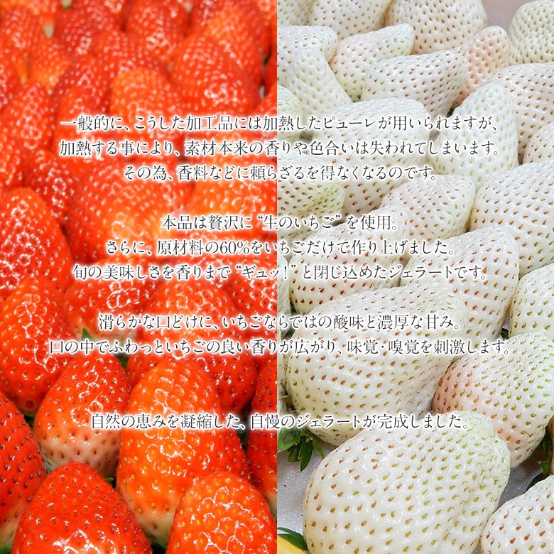 ギフト 母の日 アイス 氷菓 苺 イチゴ 生いちごジェラート 白いちご さがほのか 2種 各3個 合計6個セット 1個 110ml 冷凍 送料無料 3z073 イエノミドットコム 通販 Yahoo ショッピング